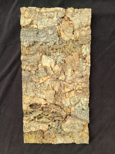 画像1: 【Set】Cork Board Rectangle Mix(HｘW=約60ｘ30cm) (￥6,800 x 4pcs)  (1)