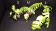 画像5: 【AMAZON】Epipremnum Amazon Gold M  (エピプレムナム　アマゾンゴールドＭ ) 3.5号(¥4,000 x 6Pcs) 　 (5)