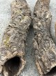 画像3: 【Set】Cork Tube R (Φ5cm〜　Ｌ:30〜38cm)(￥2,400 x 10pcs) (3)
