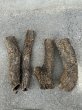 画像1: 【Set】Cork Tube R (Φ5cm〜　Ｌ:30〜38cm)(￥2,400 x 10pcs) (1)