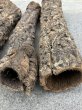 画像3: 【Set】Cork Tube L (Φ6cm〜　Ｌ:60〜70cm)(￥4,800 x 6pcs) (3)