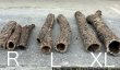 画像4: 【Set】Cork Tube R (Φ5cm〜　Ｌ:30〜38cm)(￥2,400 x 10pcs) (4)