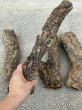 画像2: 【Set】Cork Tube R (Φ5cm〜　Ｌ:30〜38cm)(￥2,400 x 10pcs) (2)